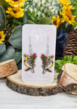 Wyoming State Bird & Flower